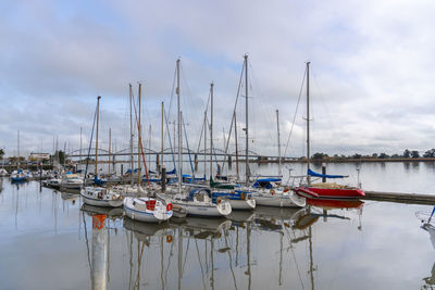 Sailboats in marina