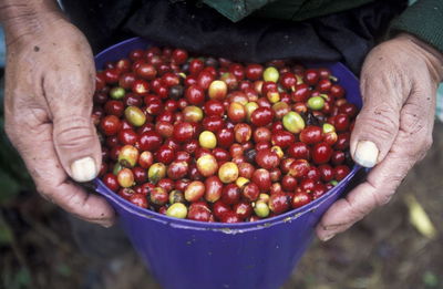 Close-up of cropped hand holding red fruit