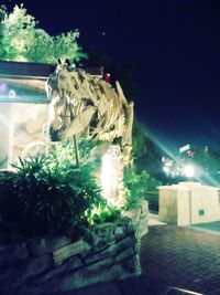 night