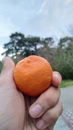 Close-up of hand holding orange