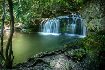 Scenic view of waterfall in forest