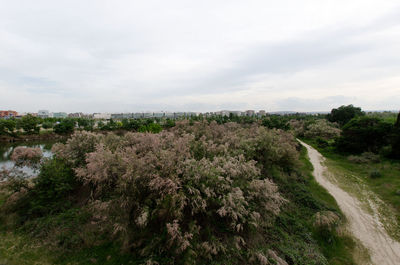 Scenic view of landscape against sky