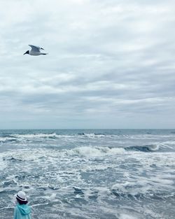 Bird flying over sea against sky