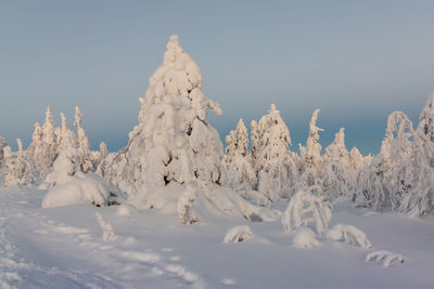 Snow covered field against sky