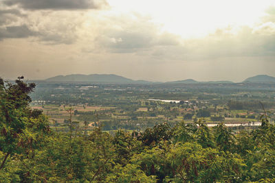 environment