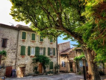 Street amidst houses and tree in town