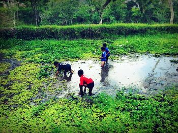 Full length of boy standing on tree trunk
