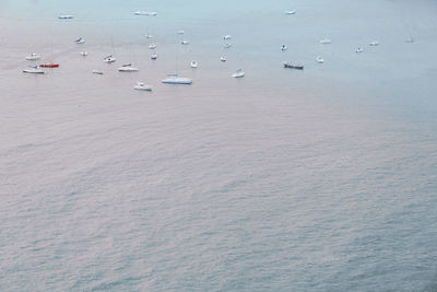 High angle view of sailboats in sea