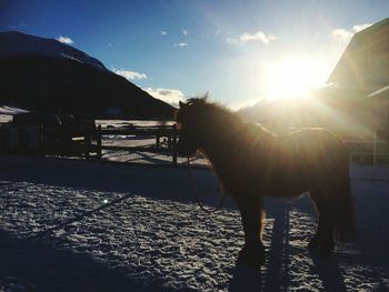 Sun shining through clouds