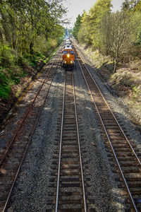 Railroad tracks amidst trees