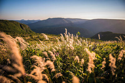 Scenic view of mountains