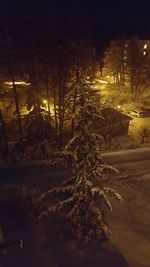 Illuminated christmas tree at night during winter