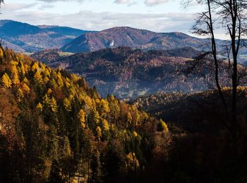 Scenic view of landscape against sky during autumn