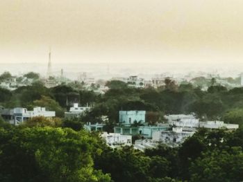 Trees and houses against sky in city