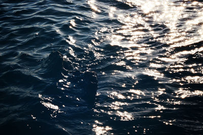 Full frame shot of water surface