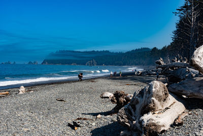 Scenic view of beach against blue sky