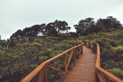 Footbridge amidst trees against clear sky
