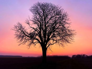 Silhouette tree on field against romantic sky at sunset