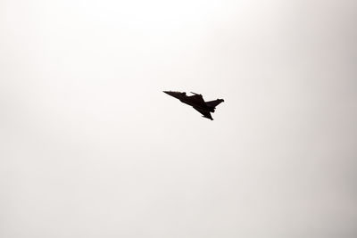 Low angle view of bird flying against clear sky