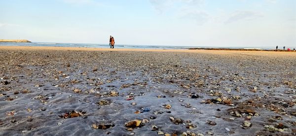 Rear view of person on beach against sky