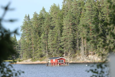 Scenic view of lake in forest