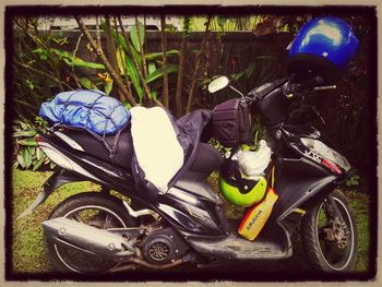transportation