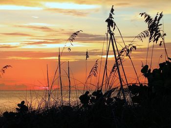 Scenic view of sea at sunset