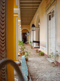 Potted plants outside building