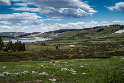 Scenic view of field against sky