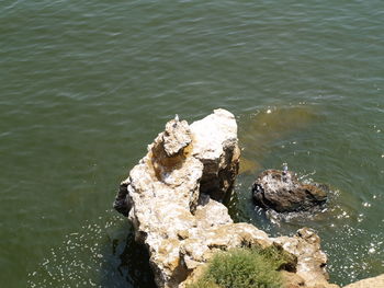 High angle view of sea