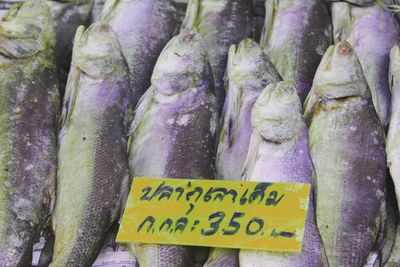 Close-up of fish for sale