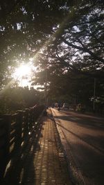 View of empty road along trees