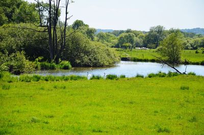 Scenic view of landscape against sky