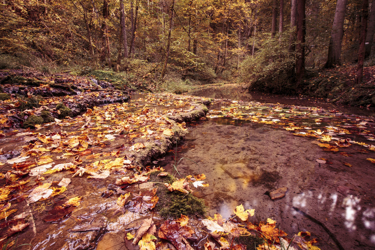 Herbst, Autumn