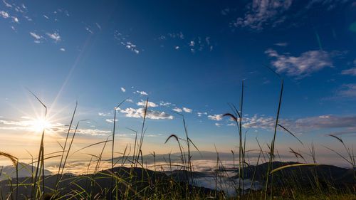 Scenic view of the sea fog and sunset background 