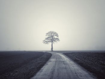 Scenic view of field against sky during foggy weather