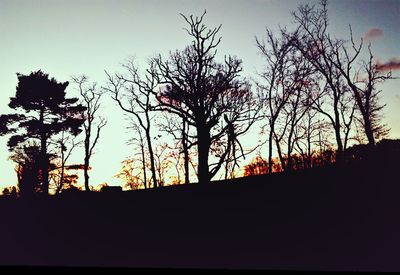 Low angle view of silhouette trees against sky