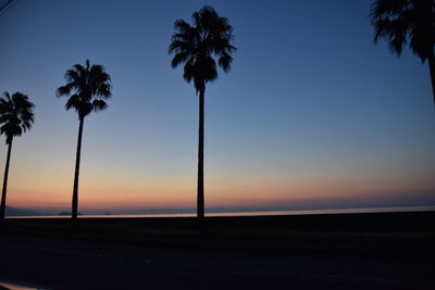 Low angle view of silhouette palm trees against sky during sunset