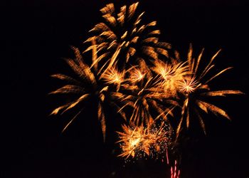 Low angle view of firework display at night