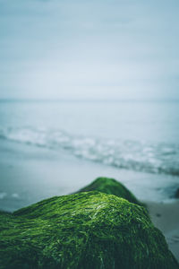 Close-up of sea against sky