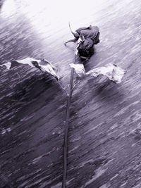 High angle view of man in water