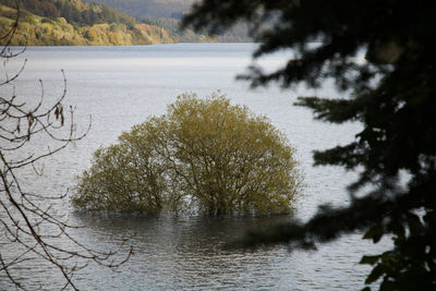 Scenic view of lake