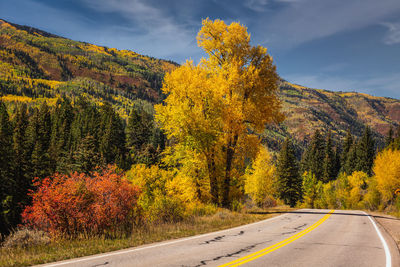 Road by trees against sky during autumn