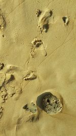 High angle view of footprints on sand