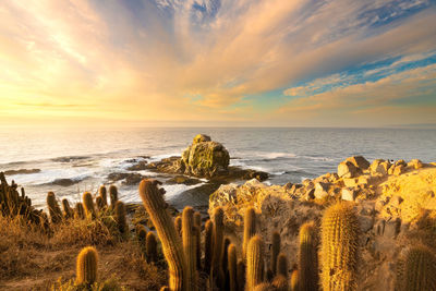 Scenic view of sea against sky during sunset