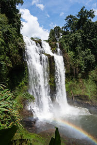 Scenic view of waterfall in forest