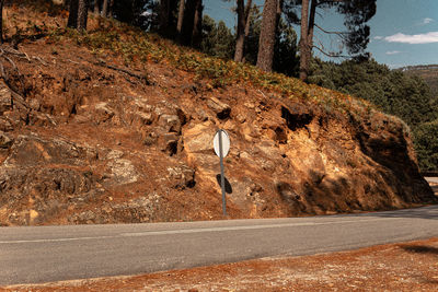 Road amidst trees and landscape