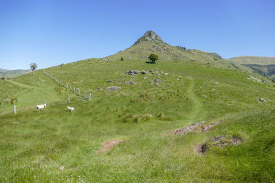 Idyllic landscape around akaroa