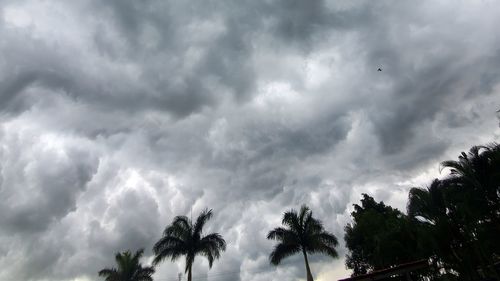 Low angle view of trees against cloudy sky