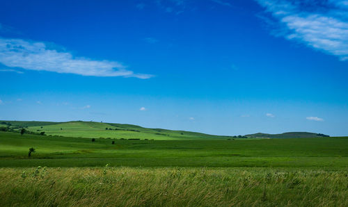 Scenic view of grassy field against cloudy sky